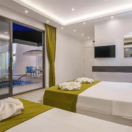 Villa Ortac 1 Doga Icerisinde, Korunakli Kaş