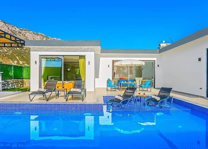 Ortac 1 Doga Icerisinde, Korunakli Βίλα Κας