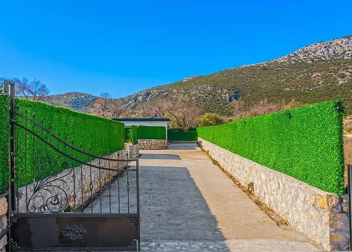 Ortac 1 Doga Icerisinde, Korunakli Κας